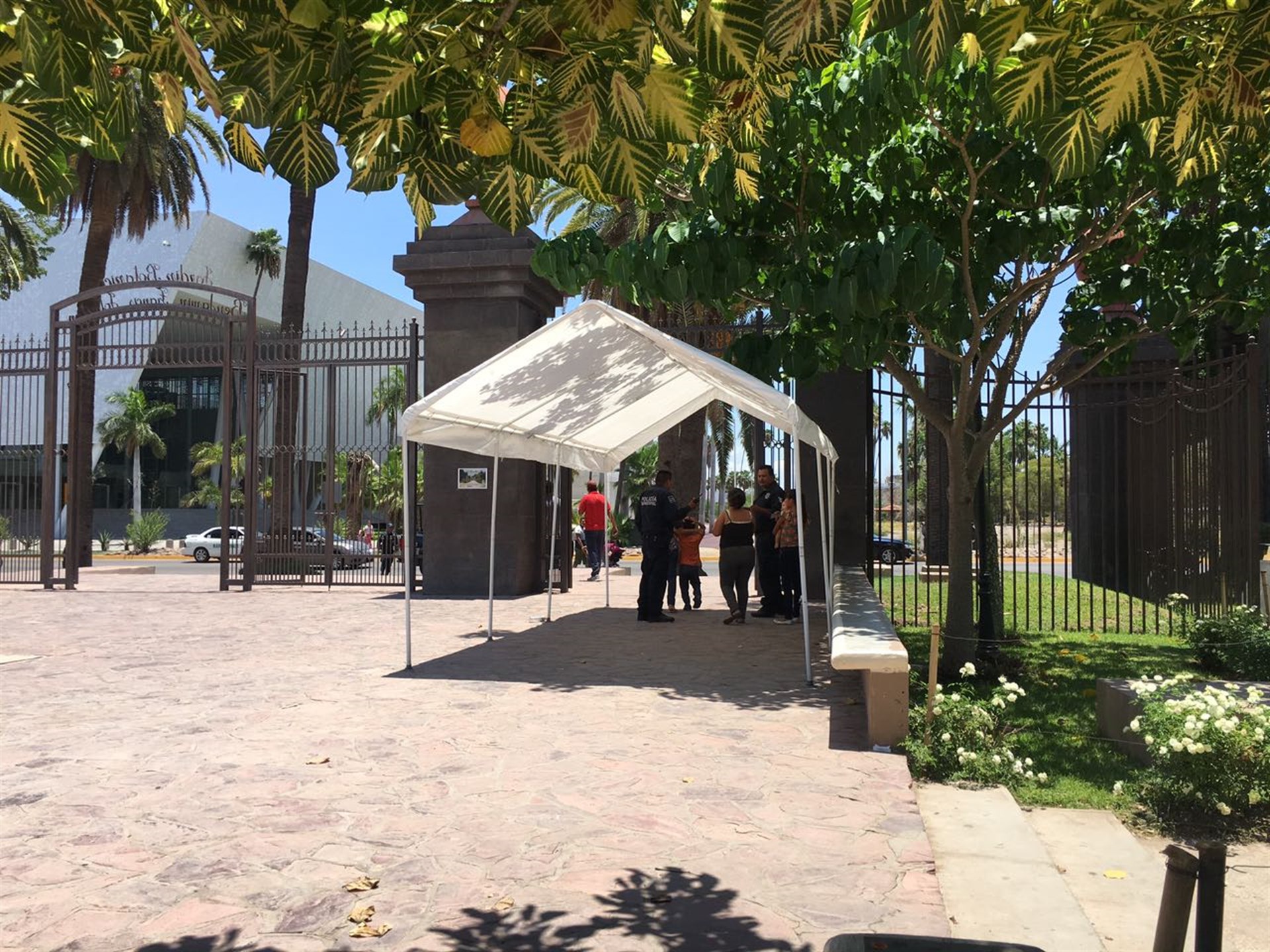 Abejas atacan a tres niños en el Parque Sinaloa