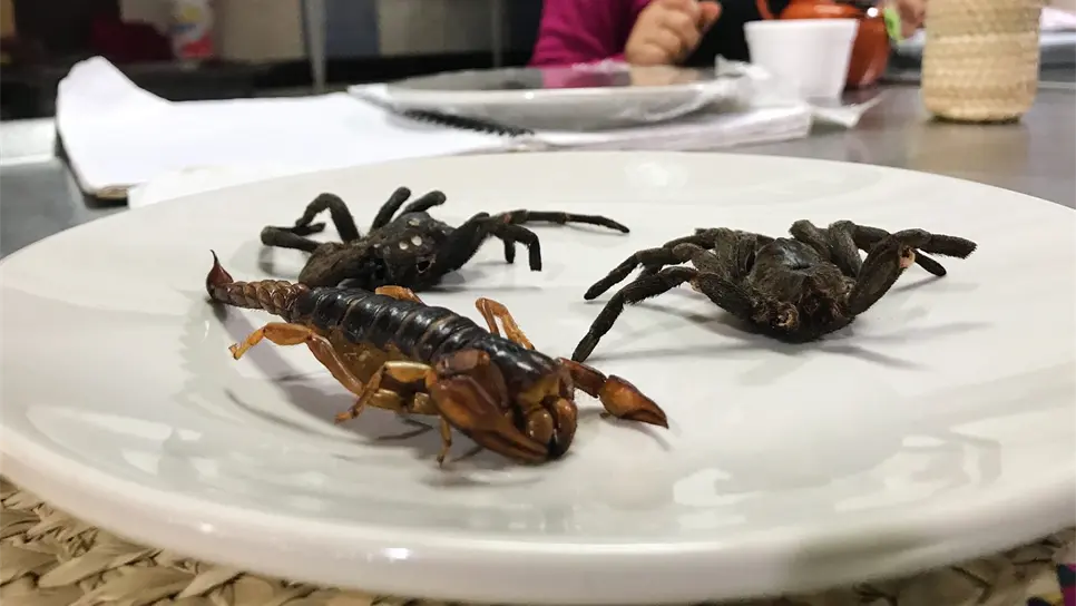 Los platos exóticos del Mercado de San Juan. FOTOS: Notimex