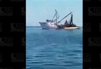 Continúa saqueo de camarón por barcos sardineros