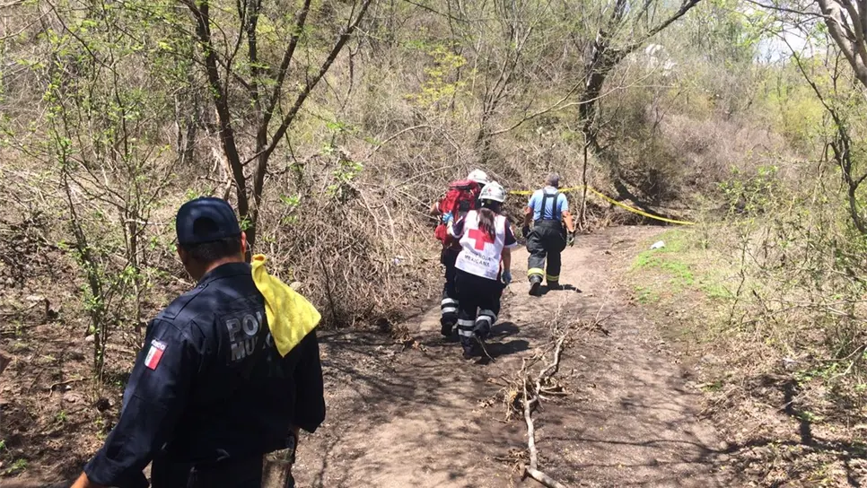 Mueren 7 personas al estrellarse avioneta en Imala