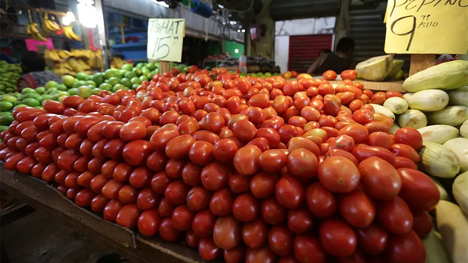 El tomate se convierte en producto de lujo