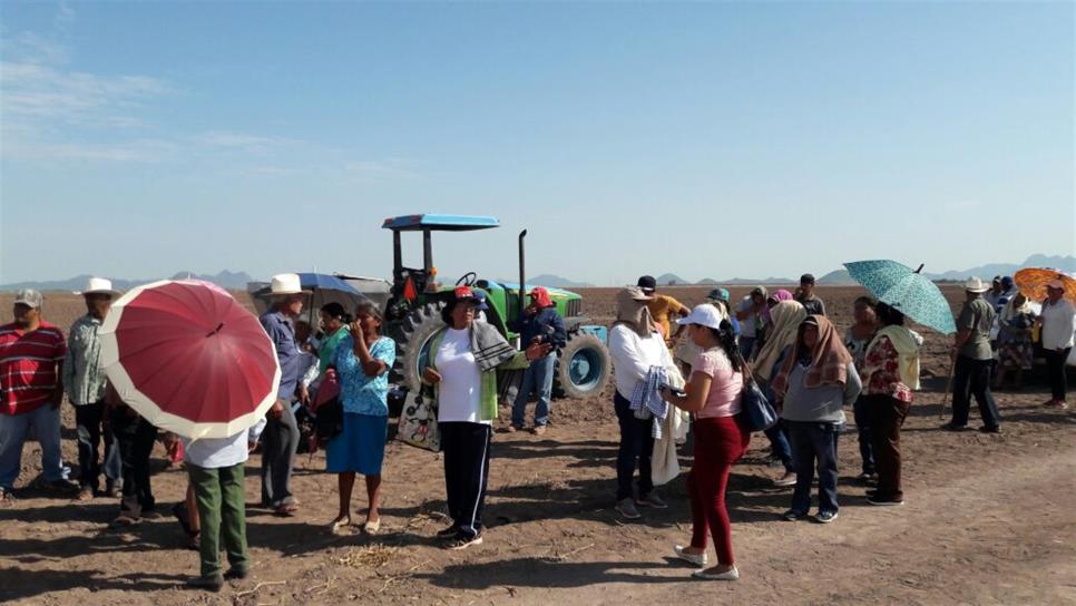 Ejidatarios de El Pochotal toman posesión de sus tierras