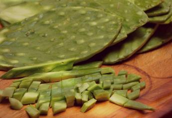 Nopal podría ayudar en el tratamiento de enfermedades óseas