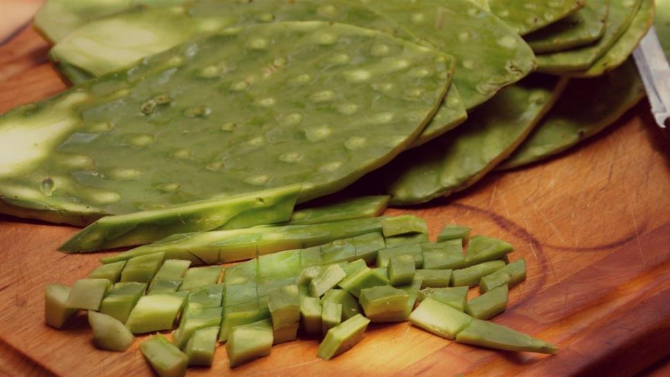 Nopal podría ayudar en el tratamiento de enfermedades óseas