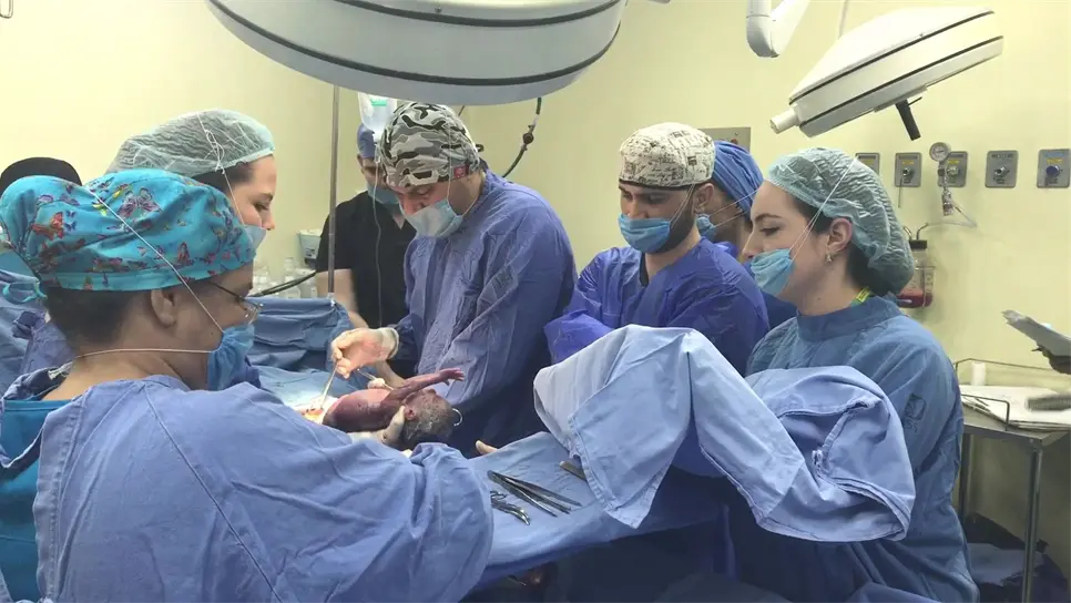 El nacimiento de los cuatrillizos. FOTOS: IMSS