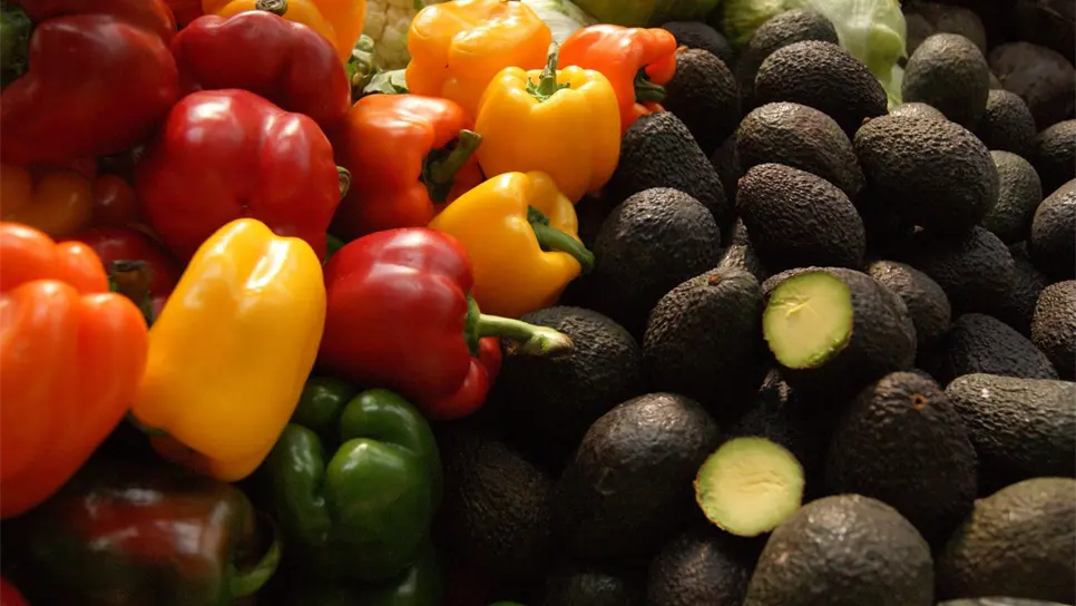 Consumo de frutas y verduras ayuda a prevenir enfermedades