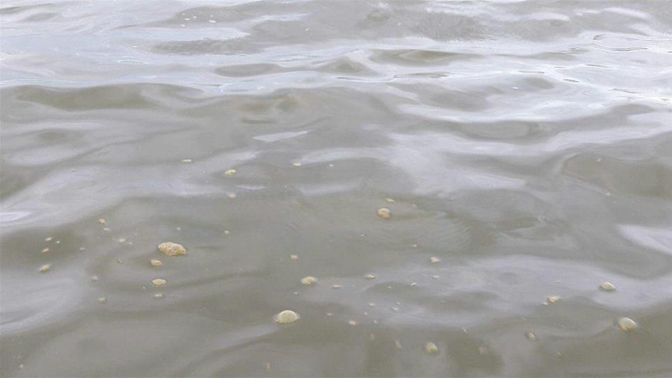 Afloran residuos espumosos en playas de El Maviri