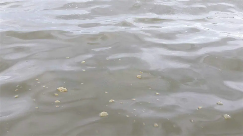 Afloran residuos espumosos en playas de El Maviri