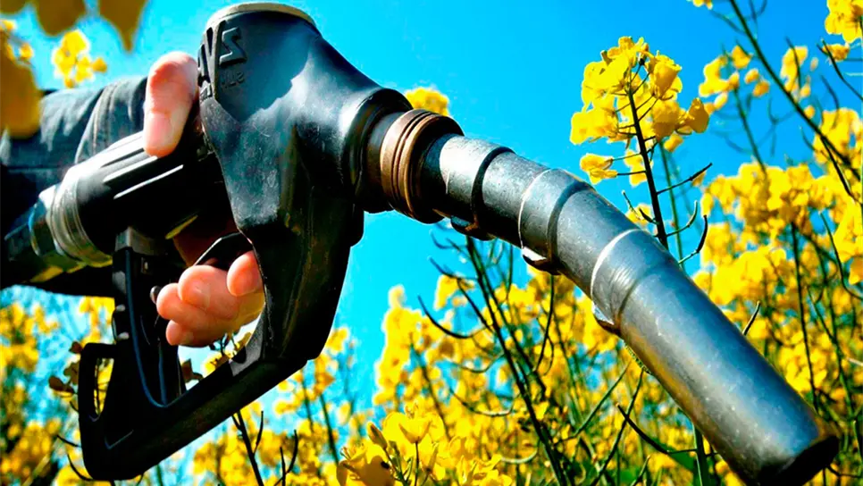 Gasolineros proponen diálogo para uso de etanol en combustible vehicular