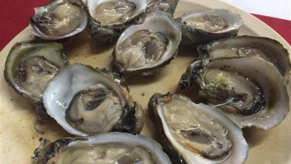 Ordena Coepriss no extracción ni consumo de moluscos en bahía de Ohuira