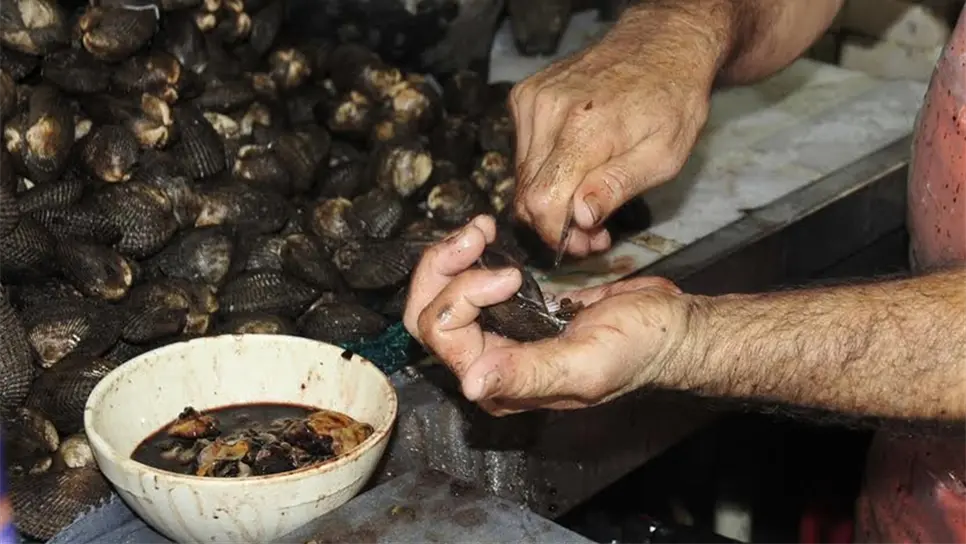 Preocupa a productores de moluscos psicosis por contaminación