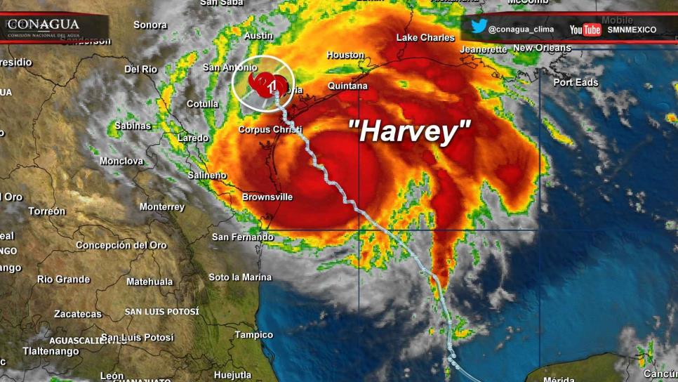 Harvey podría recurvar y seguir azotando a Texas