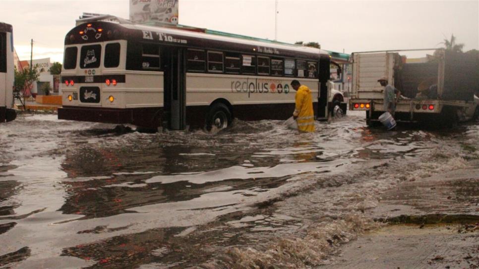 Fallan urbanos, taxis... y hasta Uber