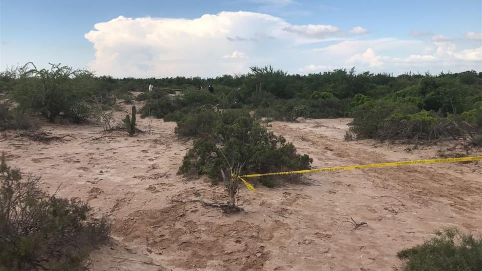 Localizan 3 osamentas en Las Bolsas de Tosalibampo