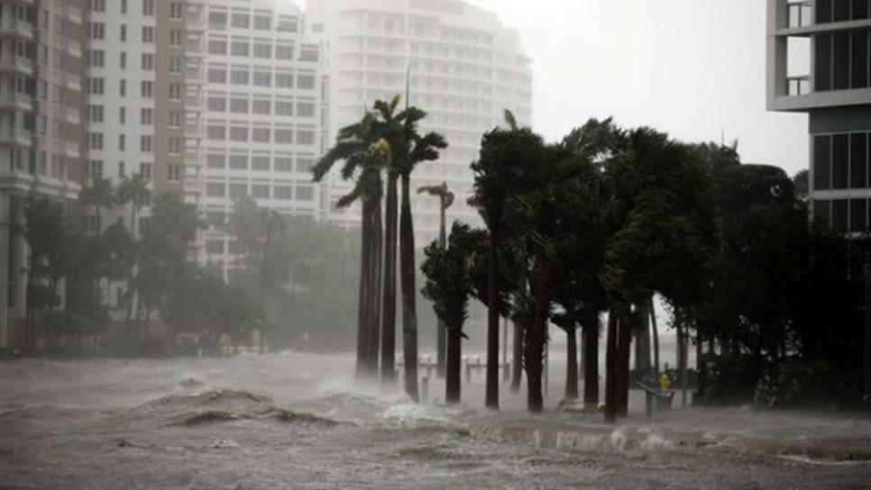 Caos en Tampa por inesperado arribo de Irma