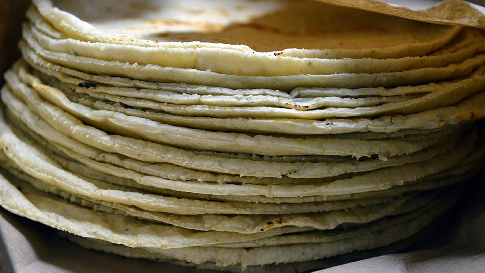 Más de 90% de las tortillas contiene maíz transgénico, revela estudio