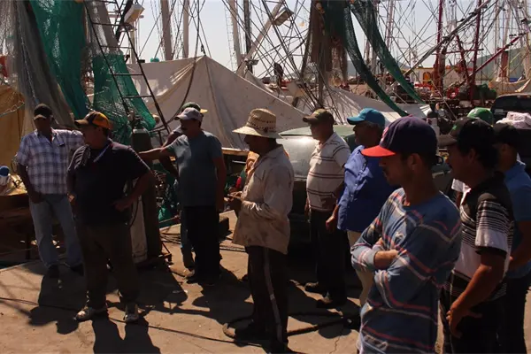 Armadores se manifiestan ante Capitanía en Topolobampo Armadores se manifiestan ante Capitanía en Topolobampo