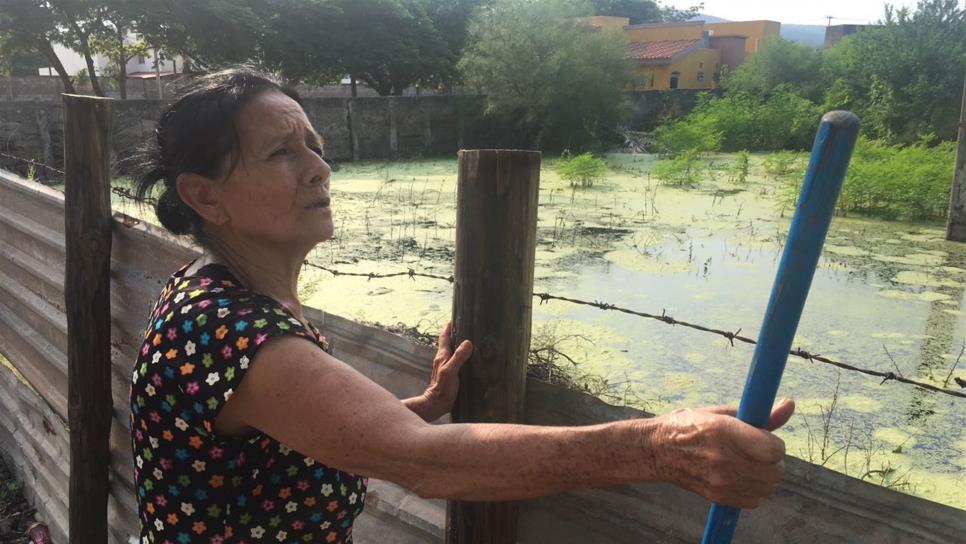 Viven junto a fosa de agua sucia en Culiacán