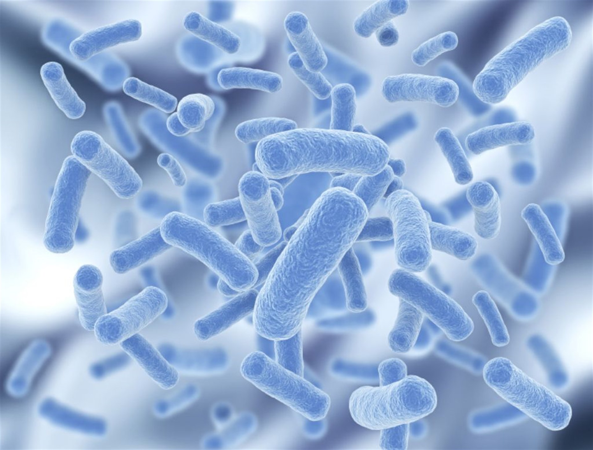 Probióticos también ayudan a prevenir infecciones urinarias