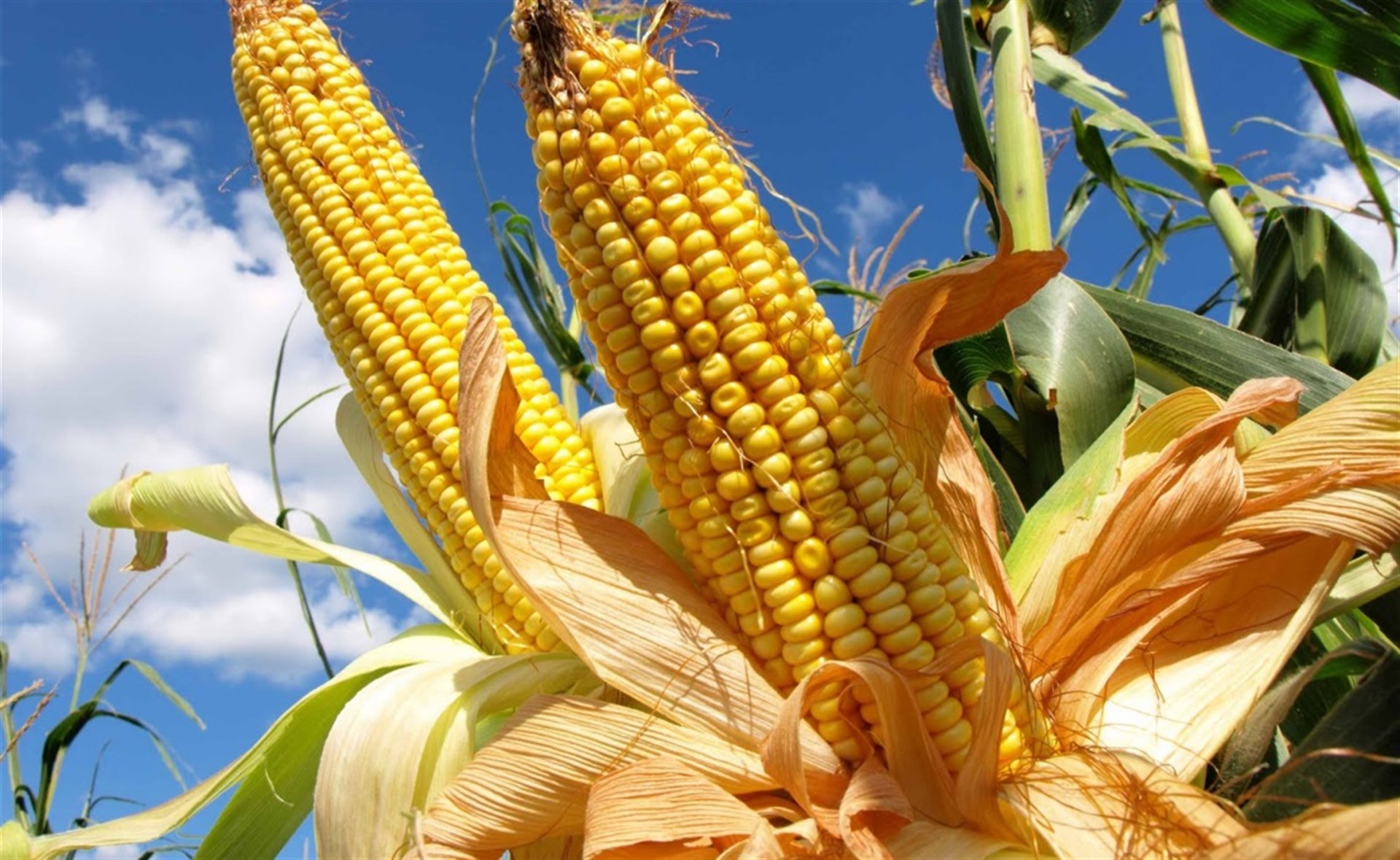 FOTO: Luz Noticias | Archivo.