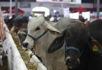 Logran ganaderos de Ahome precio de 6.70 litro de leche