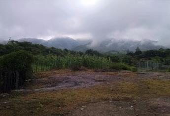 Alarma en la sierra de Culiacán por falta de lluvia