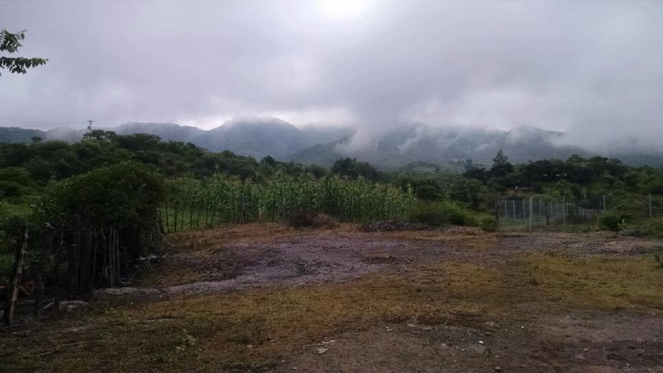 Alarma en la sierra de Culiacán por falta de lluvia