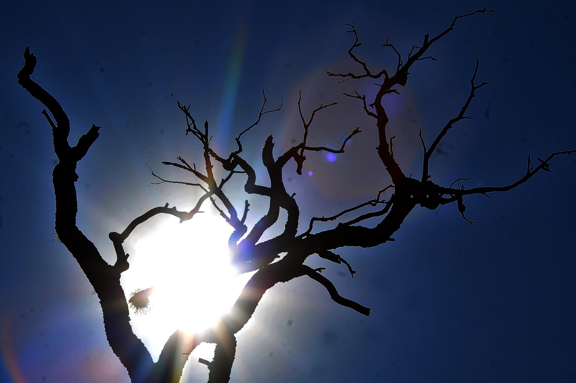 Septiembre de 2017, el cuarto más cálido en 137 años