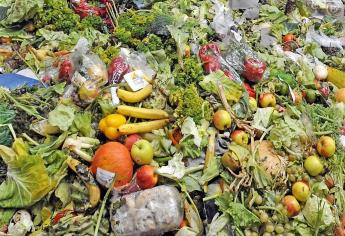 A la basura, un tercio de alimentos producidos en el mundo