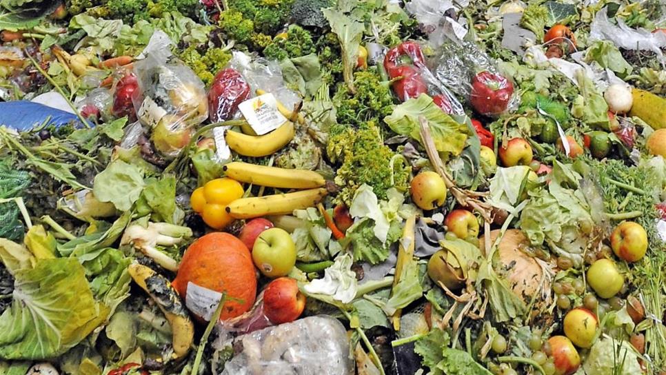 A la basura, un tercio de alimentos producidos en el mundo