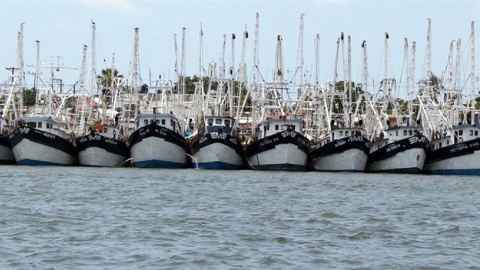 Proyecta AMLO instalar secretaría de pesca en Mazatlán