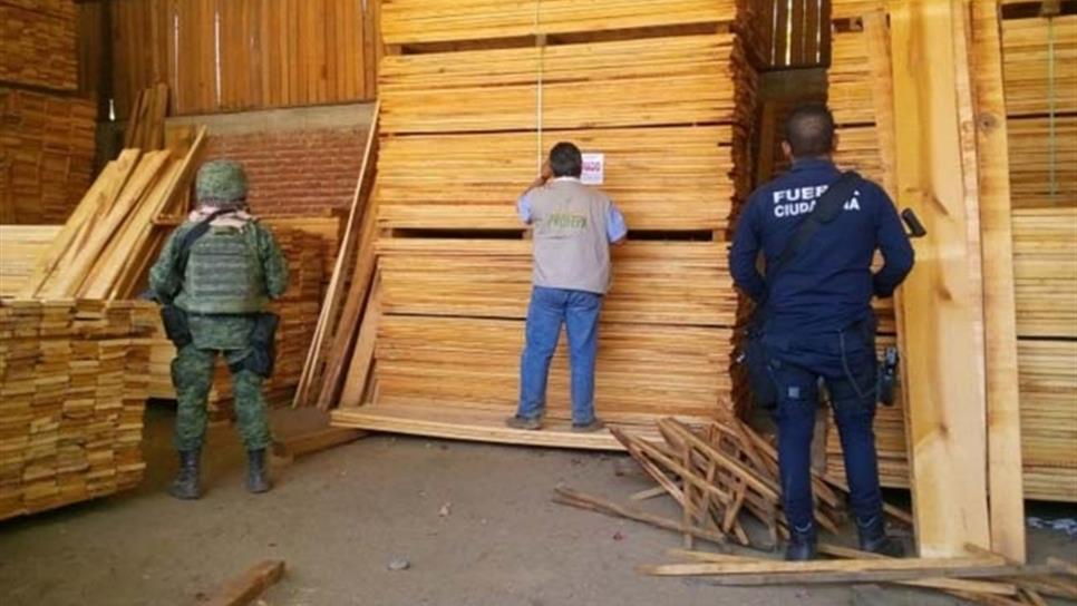 México impide ingreso de madera de Estados Unidos con plagas