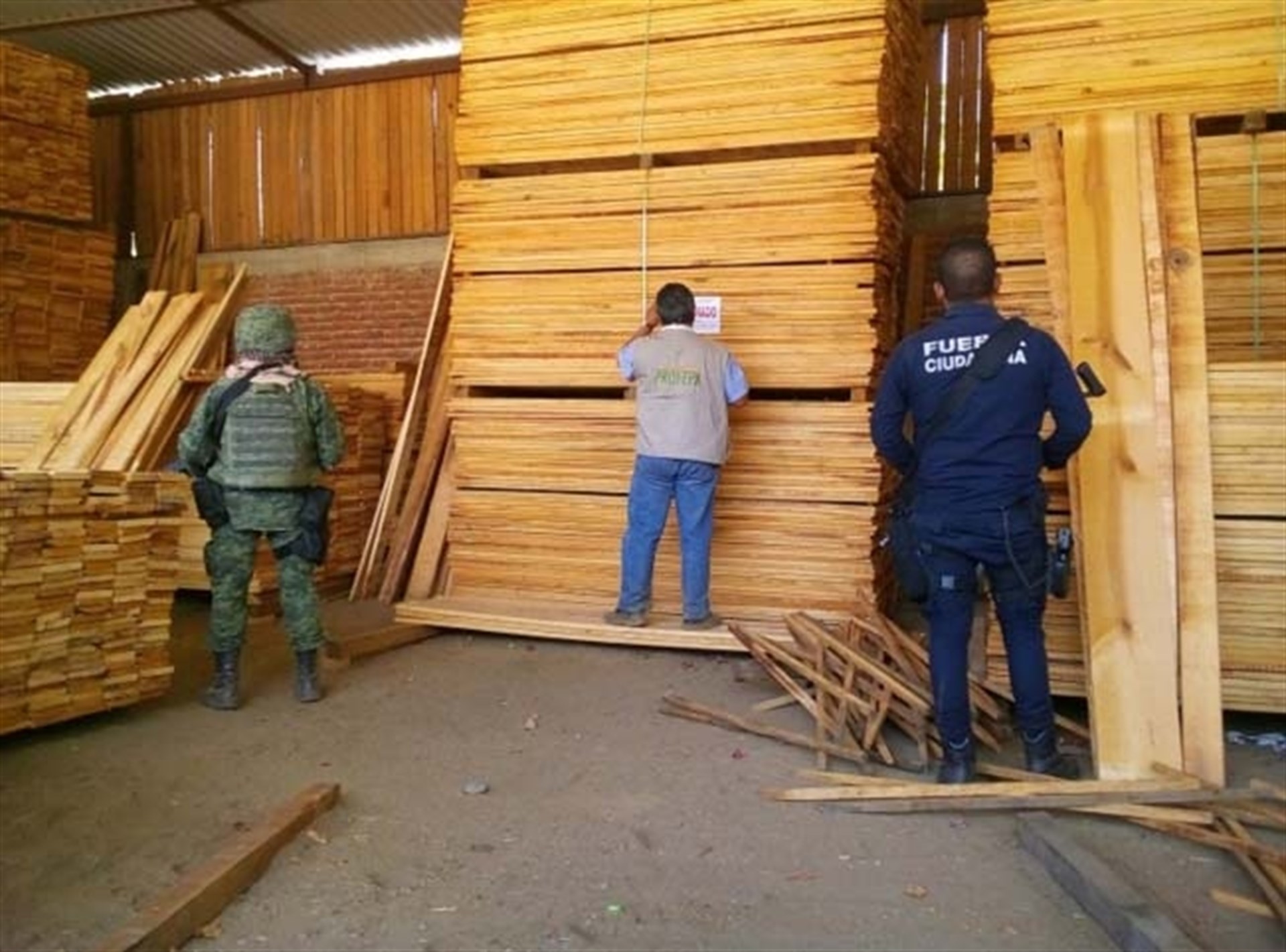 México impide ingreso de madera de Estados Unidos con plagas