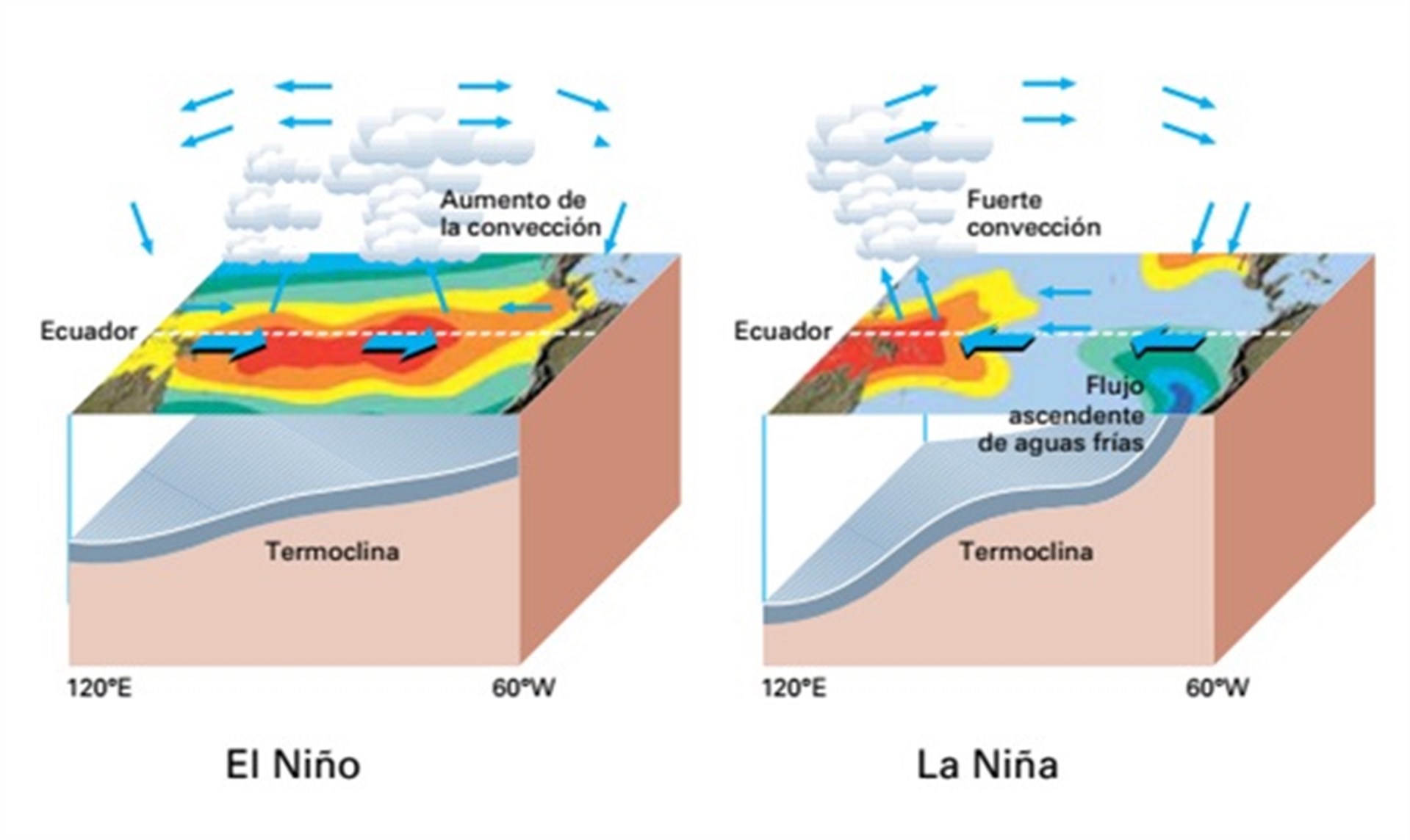 Comparativo del fenómeno La Niña y El Niño