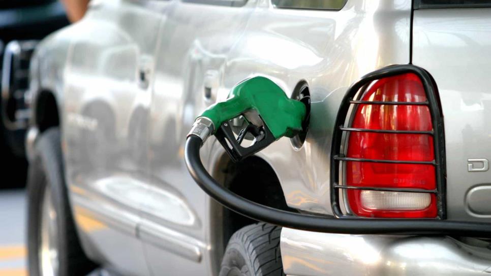 Profeco, sin denuncias por alto precio de gasolina en Los Mochis