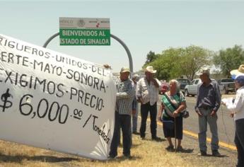 Garantiza SAGARPA pago a trigueros en el 2017