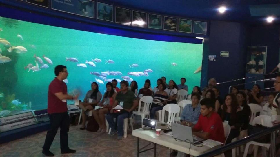 Promueven estudio de moluscos en Mazatlán