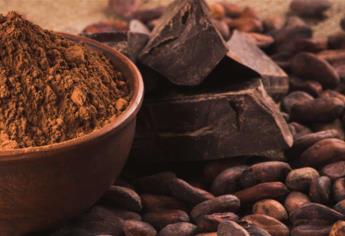 México es octavo productor de cacao a nivel mundial