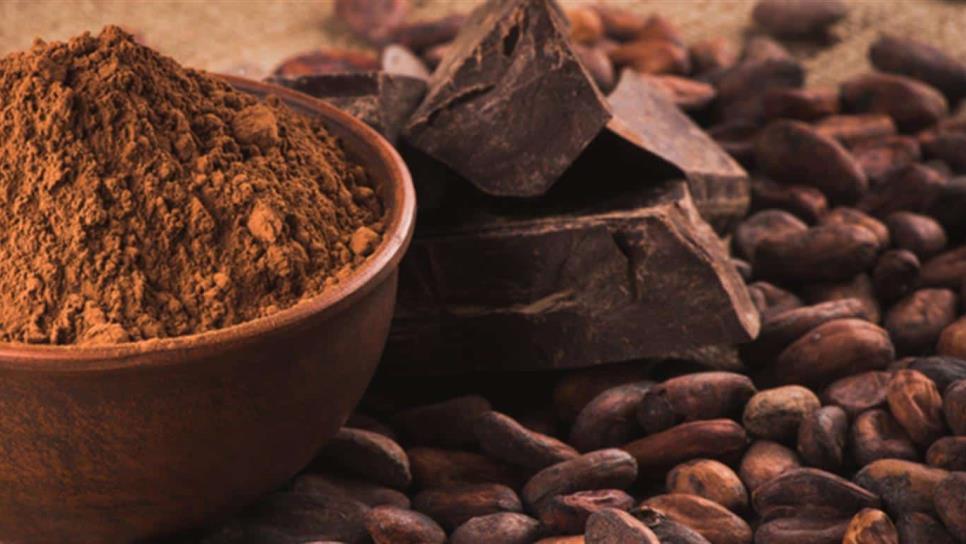 México es octavo productor de cacao a nivel mundial