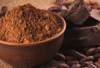 ¿Cacao como tratamiento contra enfermedades?