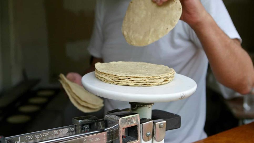 No habrá aumento a la tortilla en lo que resta del 2017