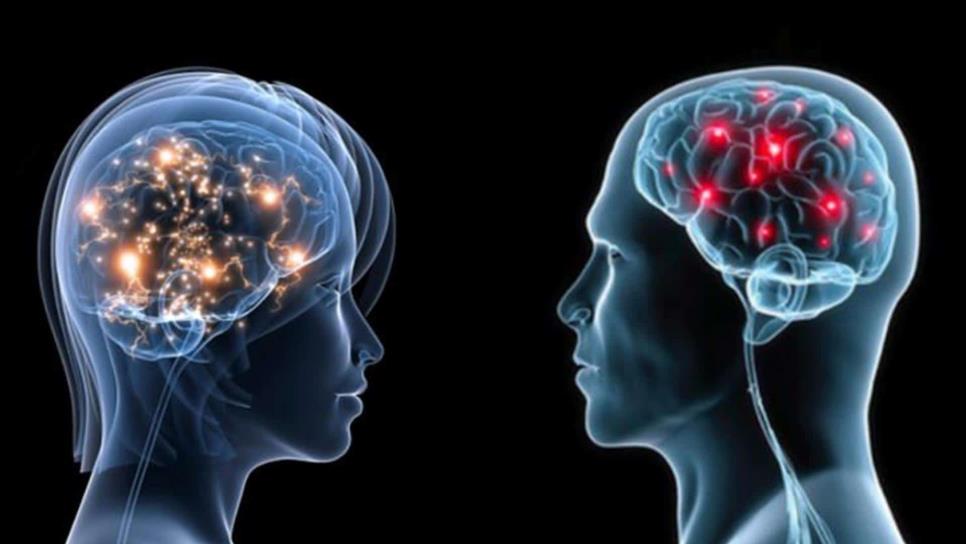 Cerebro de la mujer madura más rápido que el del hombre