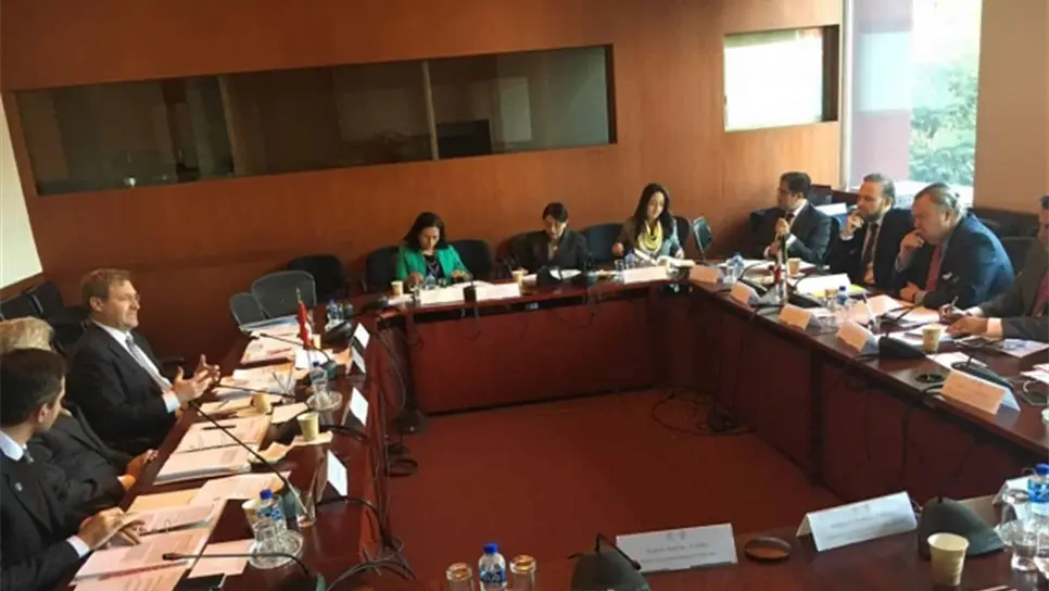 IX Reunión del Mecanismo de Consultas Políticas.