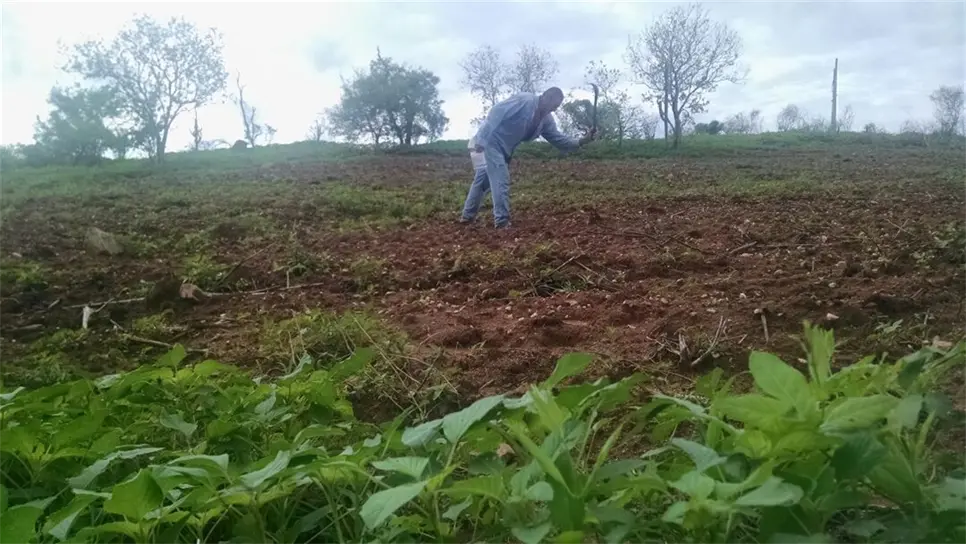 Colocará FND 10 mil millones de pesos en Sinaloa