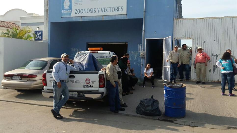 Paran labores trabajadores de vectores en Mazatlán