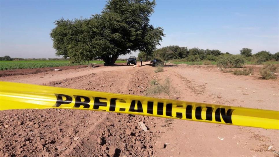 Homicidios en Sinaloa incrementaron 16% durante noviembre: CESP