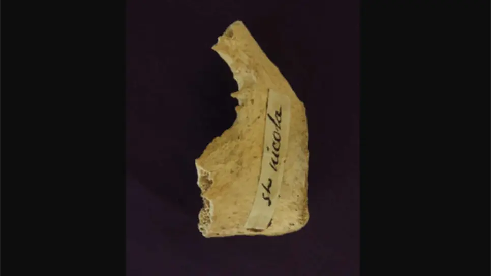 Encuentran restos del verdadero Santa Claus