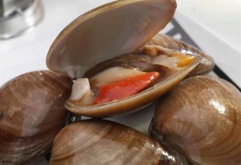 Establecen veda de almeja chocolata en Bahía Magdalena-Almejas, BCS