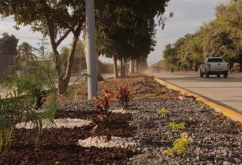 Abren a la circulación tercer tramo de la Mochis-Topo