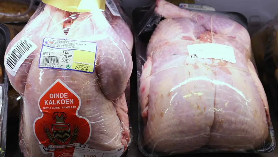 Sube 10% producción de pavo en México